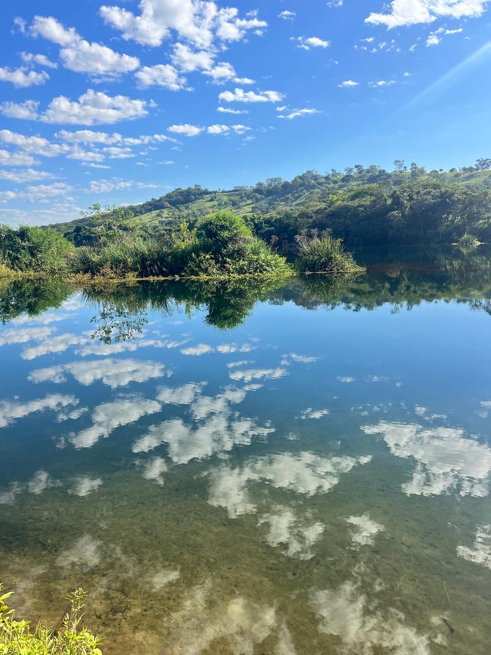 foto de árvores e um lago